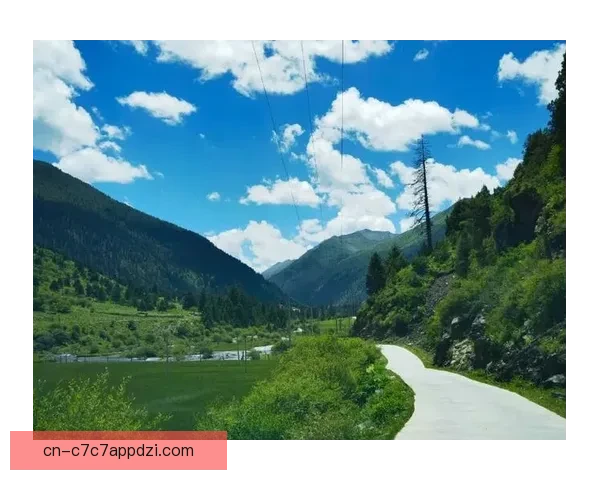 两度落选今朝脚下平川一片坦途